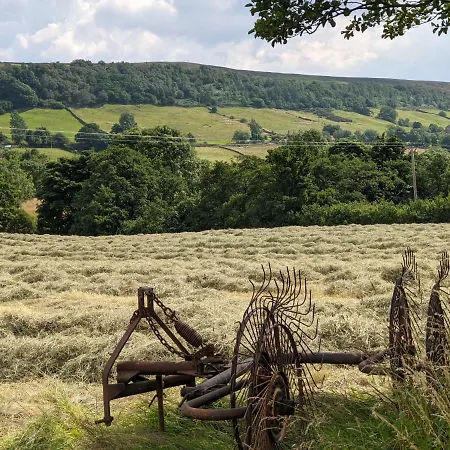 Lilac Terrace Дом отдыха Danby